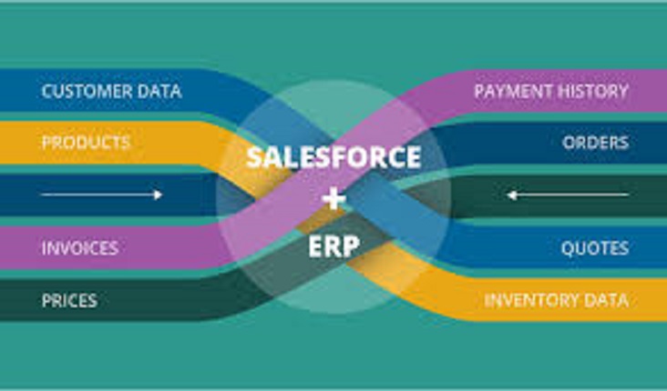 Salesforce ERP